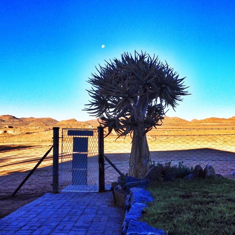 Apollis Cottage Springbok Rum bild